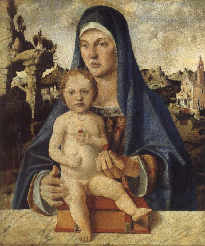Bartolomeo Montagna The Virgin and Child Spain oil painting art